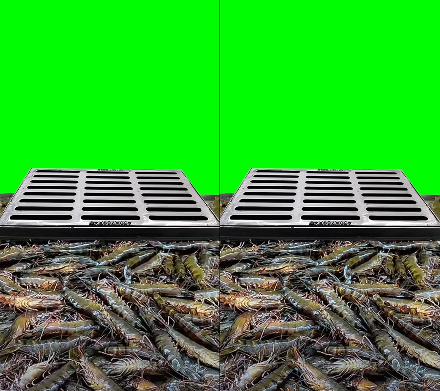 黑虎虾老虎虾带托盘展示绿幕视频直播前景贴片