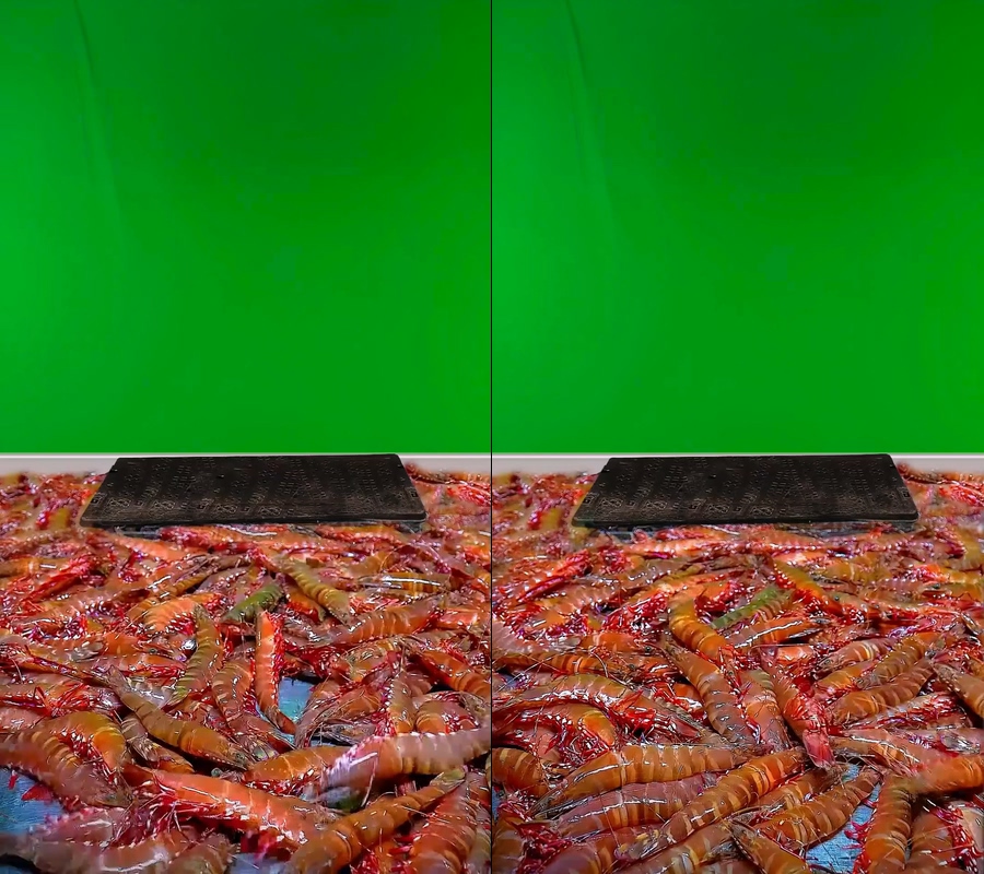 野生红爪虾大丰虾鬼虾