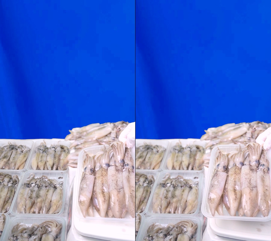 笔管鱿鱼称秤绿幕蓝布背景直播视频前景挂件视频素材