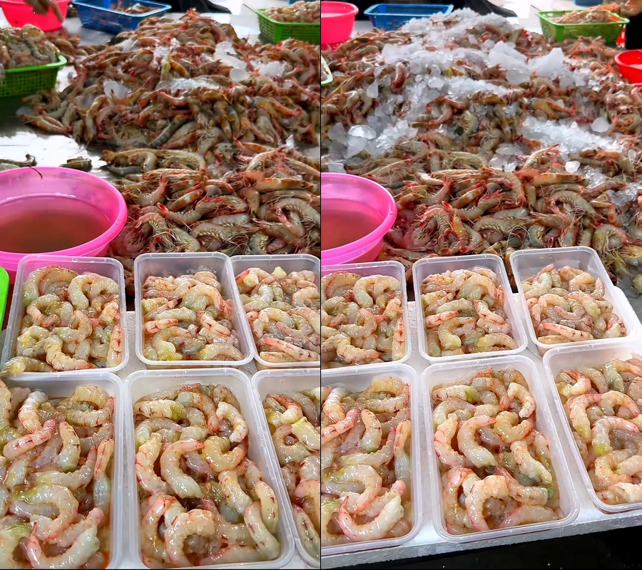 虾仁现场剥虾仁大虾直播视频