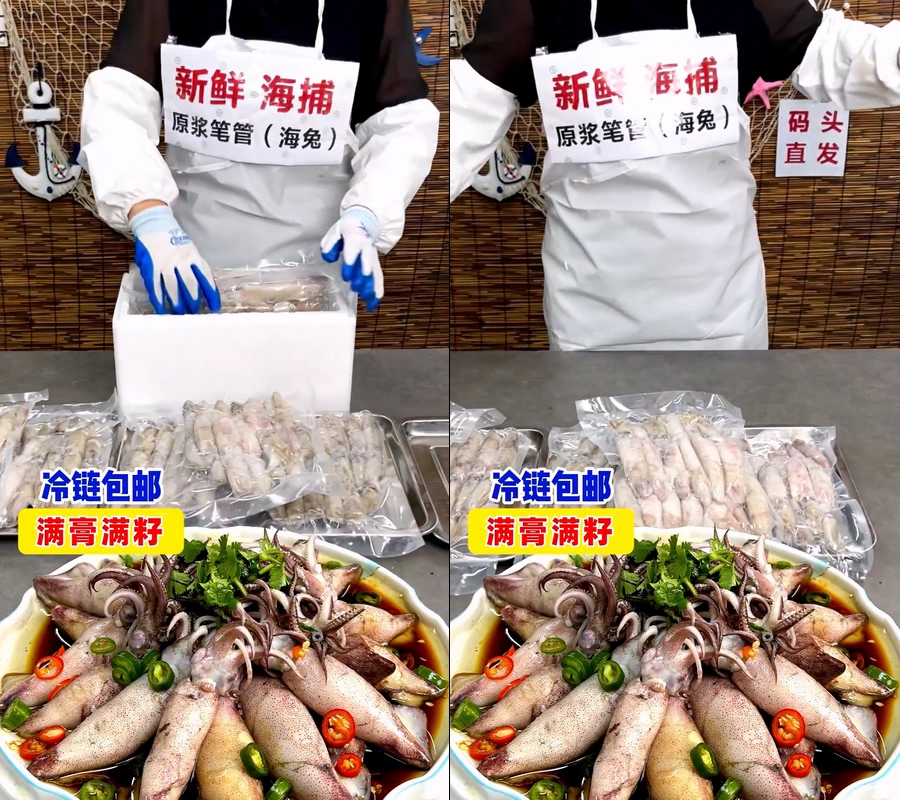 海兔籽乌笔管鱿鱼墨鱼鱿鱼