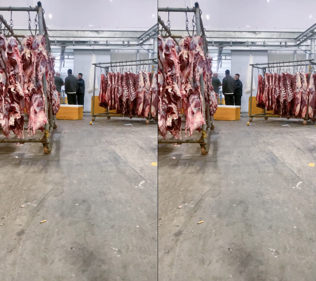 屠宰场牛肉厂牛肉分割背景视频