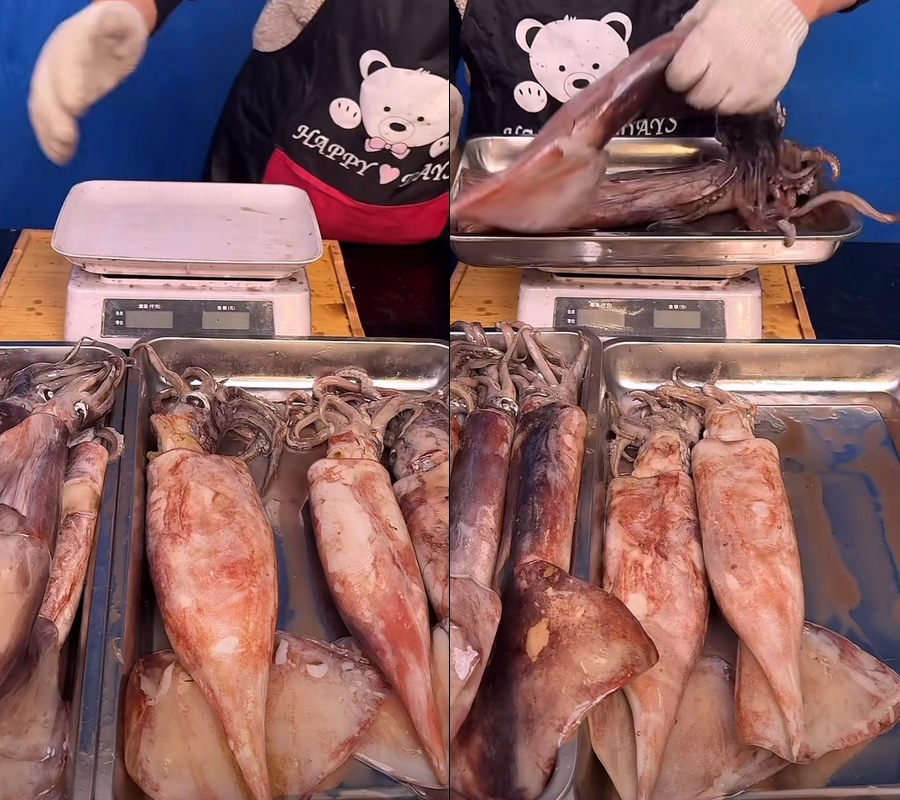 鱿鱼大鱿鱼海鲜视频不露脸直播视频