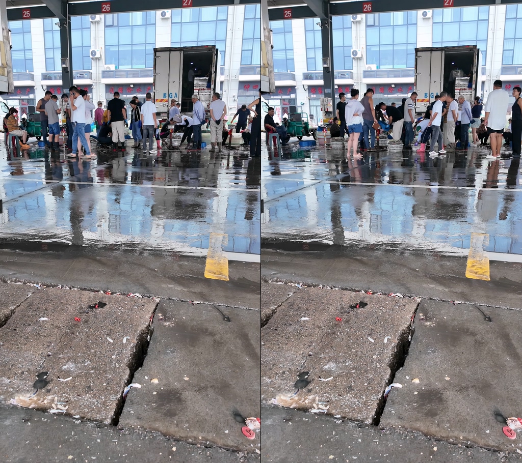 海鲜市场背景视频水产车视频