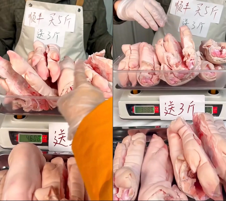 猪蹄称秤直播视频