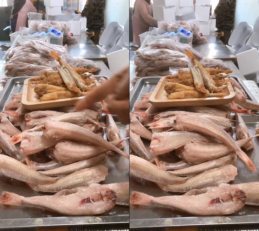 红娘子鱼现场打包直播视频