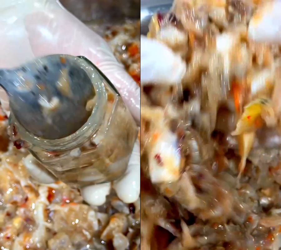 蟹膏蟹黄蟹糊红膏呛蟹梭子蟹酱