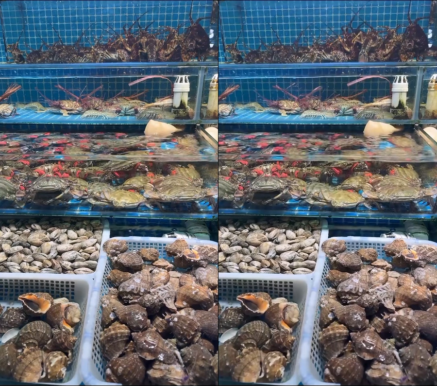海鲜市场玻璃缸梭子蟹海螺青龙龙虾贝类视频背景