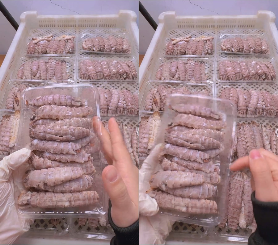 皮皮虾肉虾婆老虎虾直播视频