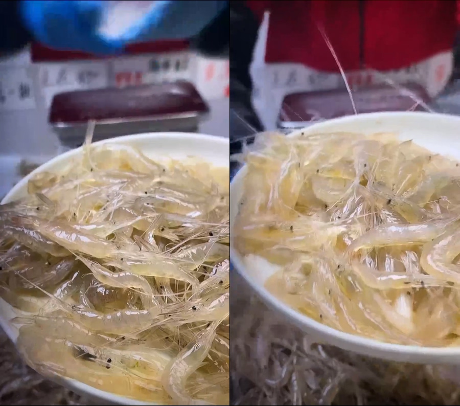 海白虾小白虾野生小虾直播视频