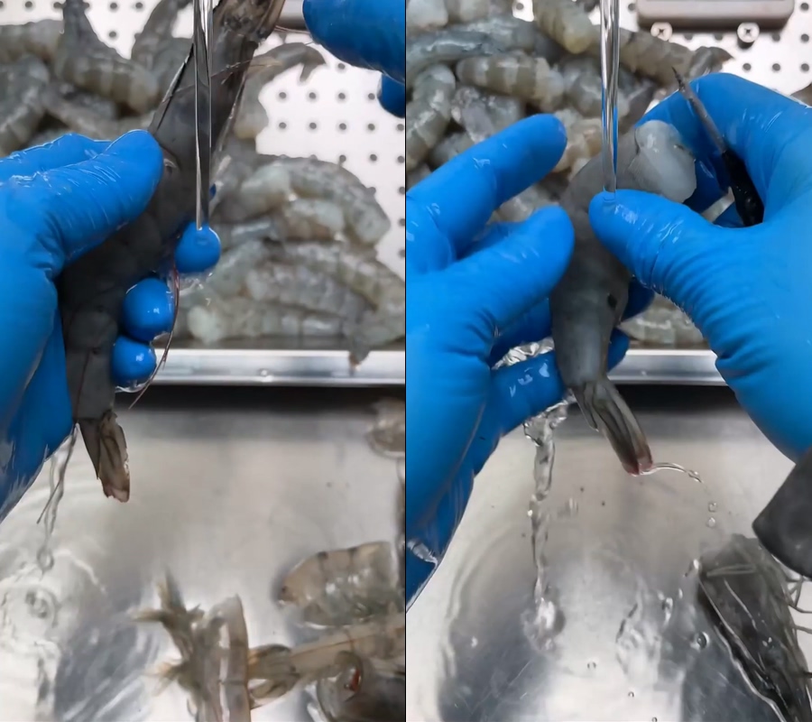手剥大虾虾仁解压直播虾仁视频