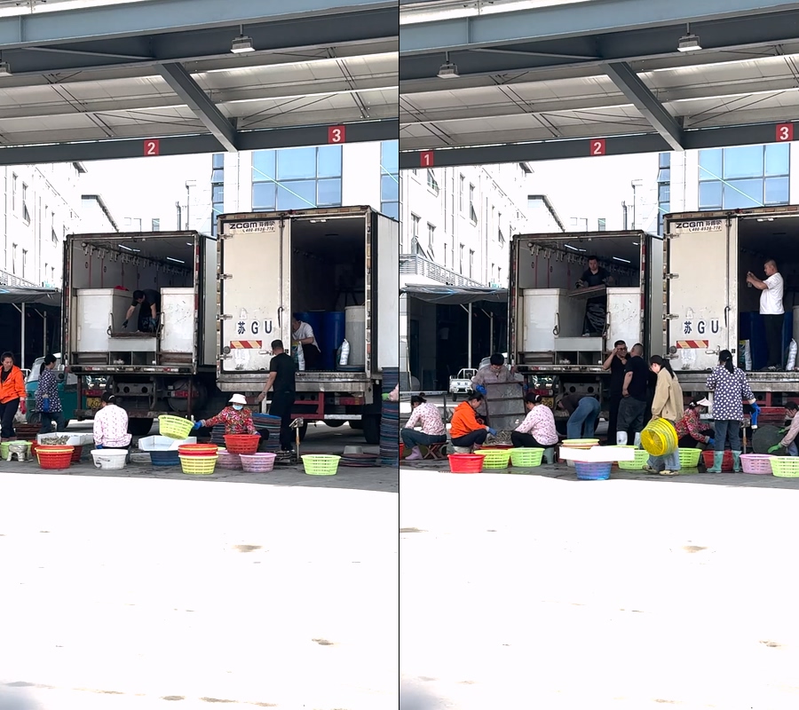 海鲜市场白天视频水产车卸货视频