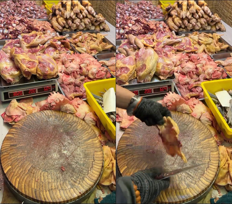 现杀黄油老母鸡笨鸡直播视频