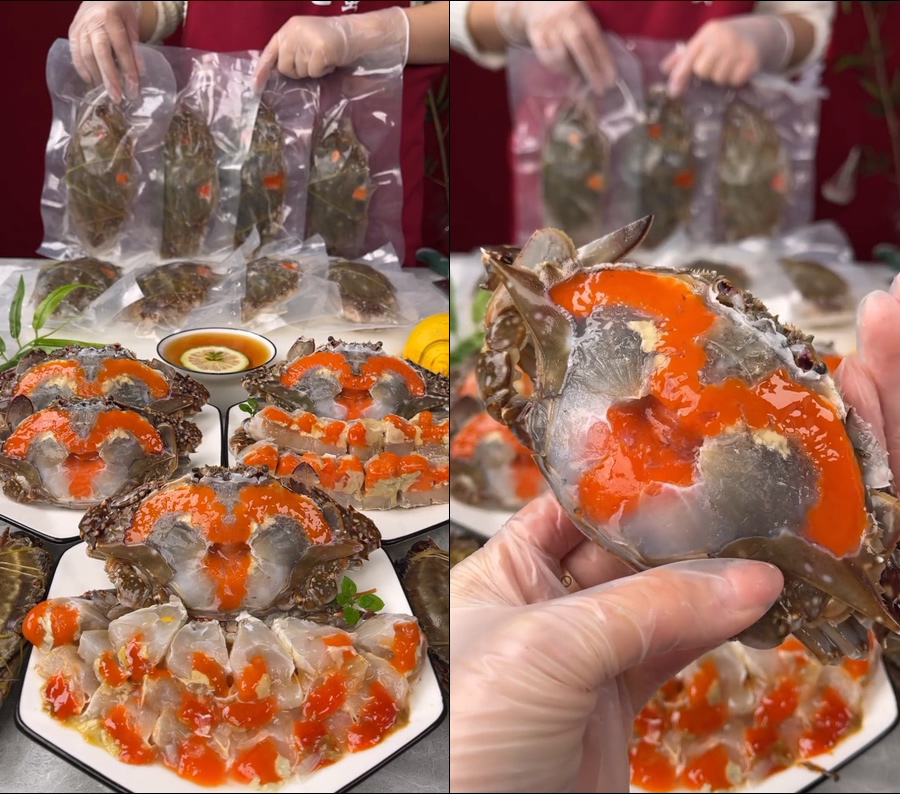 无缝循环红膏呛蟹直播视频