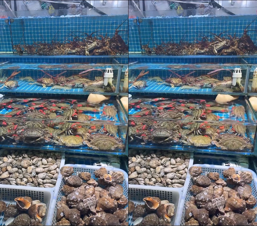 海鲜市场玻璃缸鲜活梭子蟹海螺青龙龙虾贝类视频背景