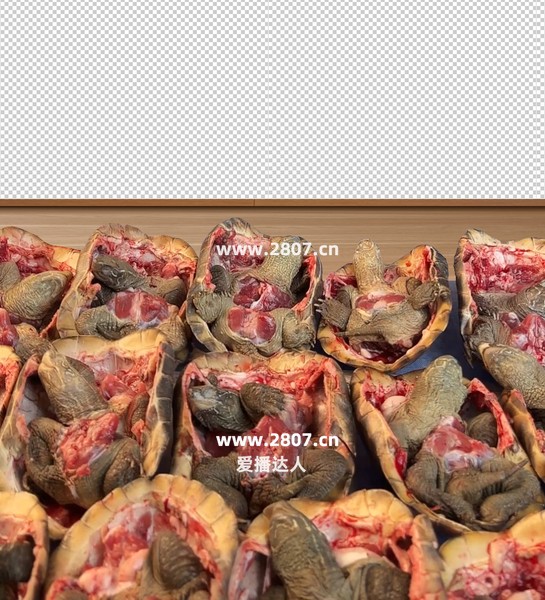 龟肉草龟肉直播贴片直播背景图片