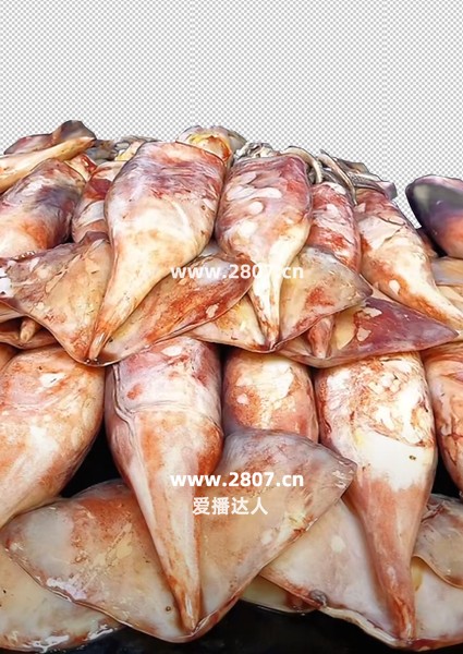 鱿鱼大鱿鱼直播贴片直播背景图片
