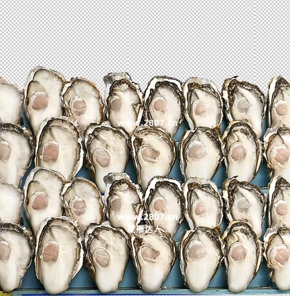 生蚝乳山生蚝直播贴片直播背景图片