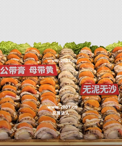 扇贝扇贝肉透明贴片直播贴片直播背景图片